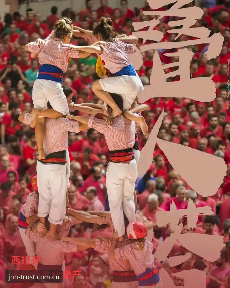 今年会体育娱乐 vs 传统体育平台：专业玩家选择的五大核心差异